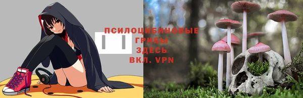 сатива Балабаново