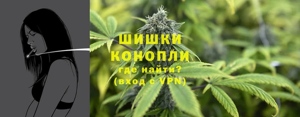 сатива Балабаново