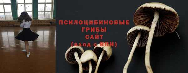 прущий лед Балахна