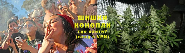 сатива Балабаново